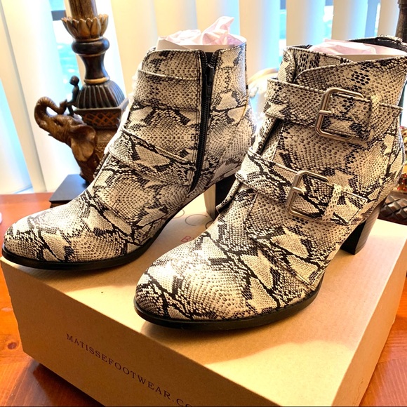 Coconuts Matisse Buckle Snakeskin Print 
